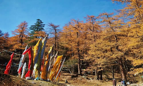 云南秋天旅游最好的景色香格里拉稻城亚丁图片