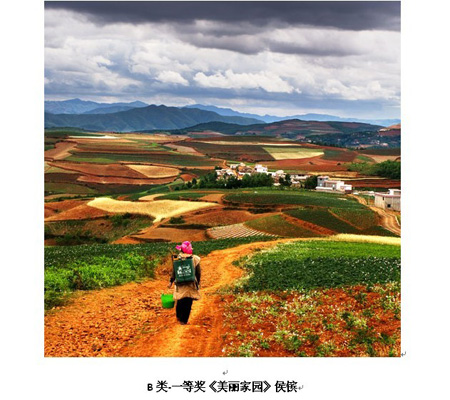 云南红土地