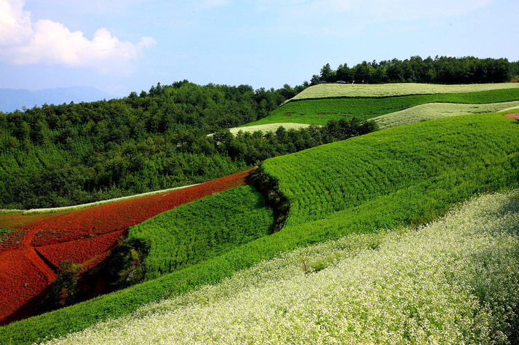 东川红土地，七彩坡