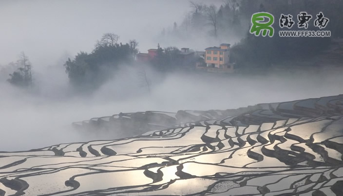 春节元阳梯田