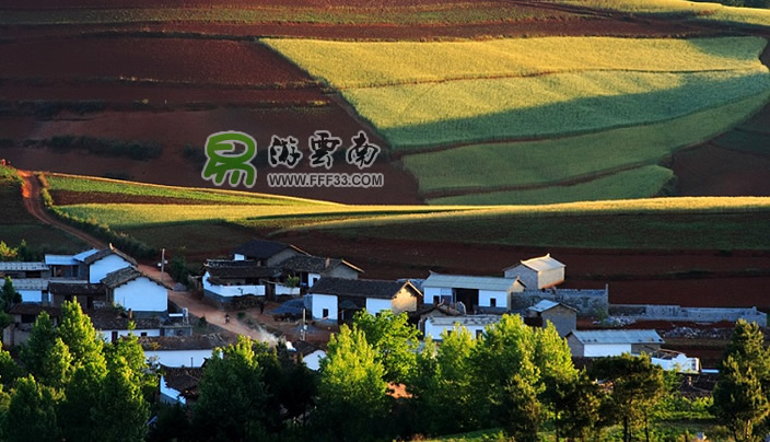 6月云南东川红土地