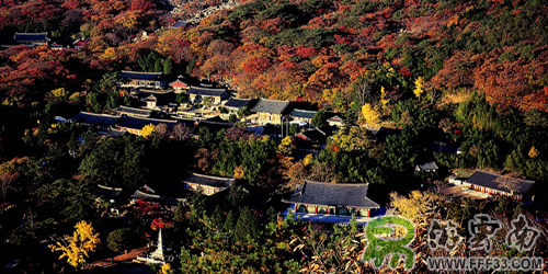 釜山梵鱼寺 釜山梵鱼寺