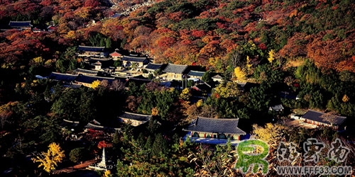 釜山梵鱼寺