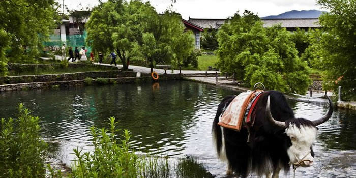 丽江玉水寨景区