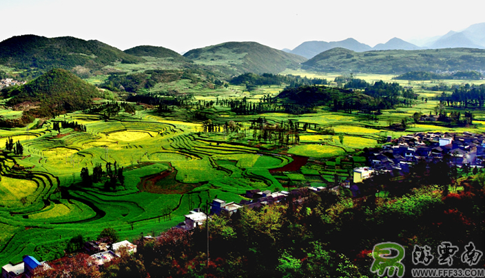 罗平油菜花摄影之螺丝田，由易游云南摄影组织拍摄。