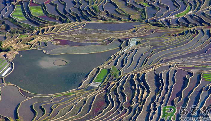 红河撒玛坝梯田风光