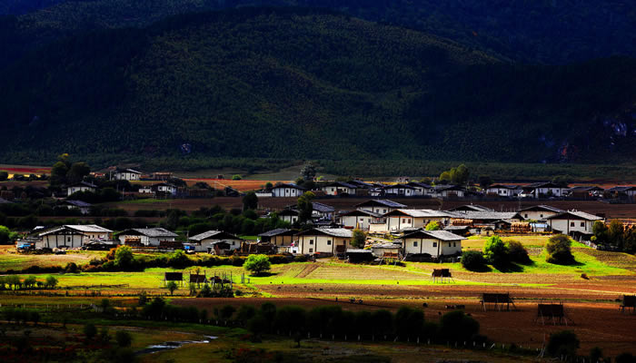 香格里拉风光