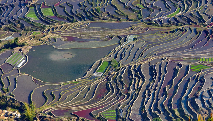 红河梯田风光