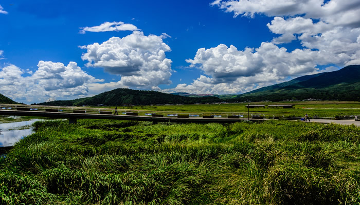 北海湿地