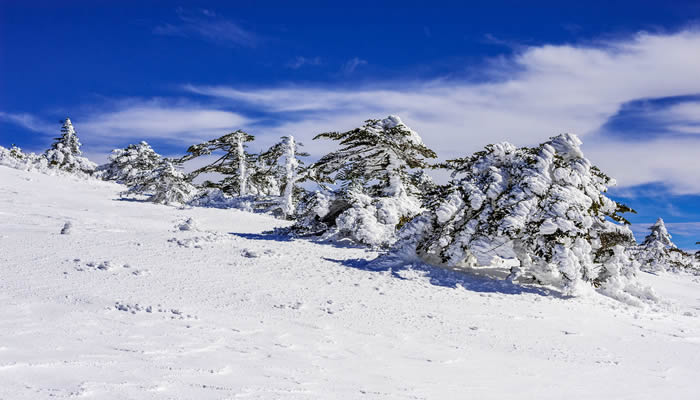 昆明轿子雪山雪景