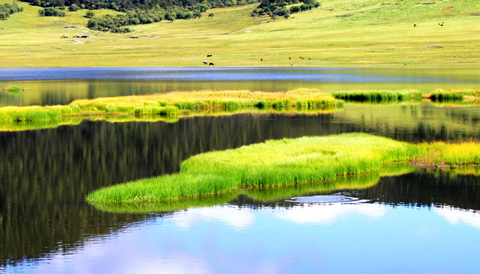 香格里拉景色