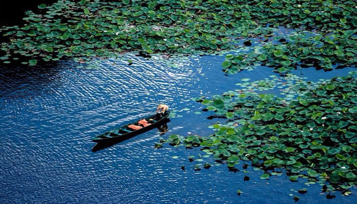 普者黑旅行