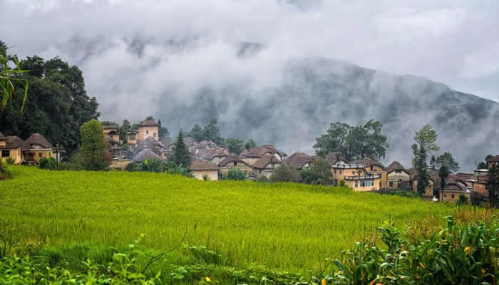 元阳梯田夏景