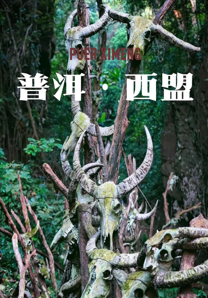 西盟