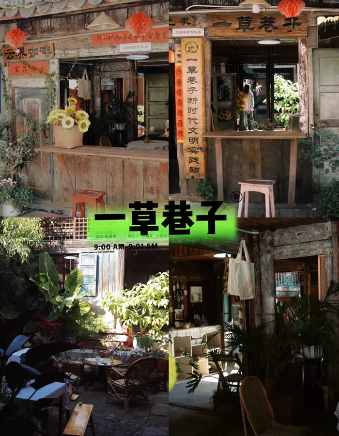 一草巷子